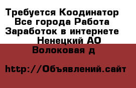 Требуется Коодинатор - Все города Работа » Заработок в интернете   . Ненецкий АО,Волоковая д.